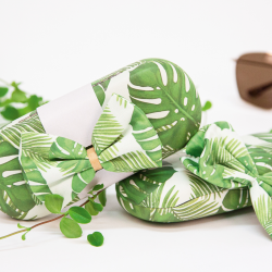 Etui Monstera de Microfibre par 5 pièces
