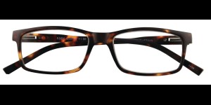 Lunettes de lecture Eddy tortoise
