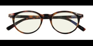 Lunettes de lecture BB Panto filtre anti-lumière bleue - tortoise