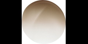 Shoptic Verres plans CR 39 - Dégradé brun - Courbe 6