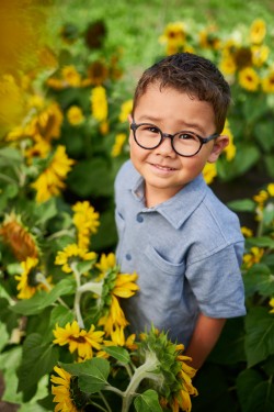 Charly Duo Styles Earth havane/Bleu foncé, taille 40