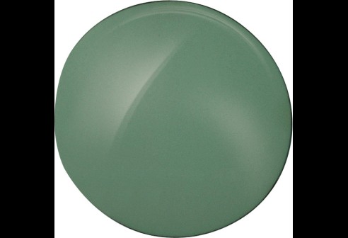 Shoptic Verres plans CR 39 - Vert gris foncé (G 15) - Courbe 8