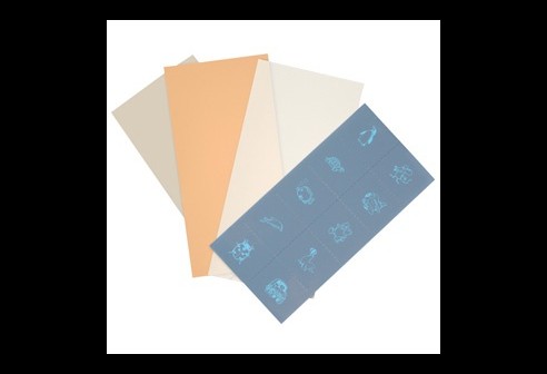 Feuilles d’occlusion, perception de la lumière