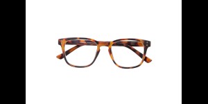 Lunettes de lecture Student tortoise