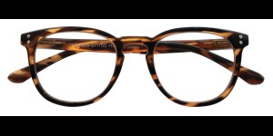 Lunettes de lecture Robin tortoise