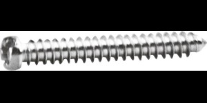 Kruiskop/gleuf-schroef zilver Ø 1,6 lengte 10,8 mm