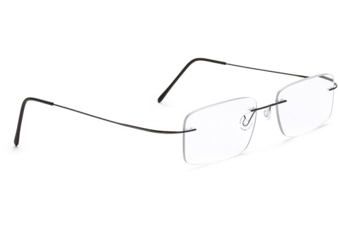 Glasbril van Beta-titanium met Monoblockveren, gun