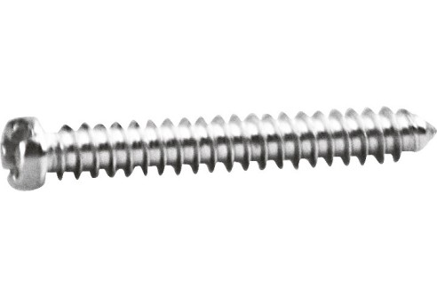 Kruiskop/gleuf-schroef zilver Ø 1,4 lengte 10,8 mm