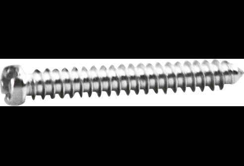 Kruiskop/gleuf-schroef zilver Ø 1,4 lengte 10,8 mm