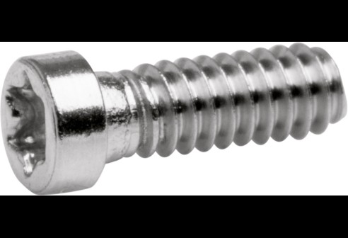 Torx 4 schroef zilver Ø 1,4 lengte 4,9 mm