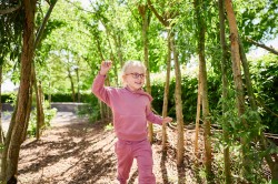 Noah transparant redwood, maat 41