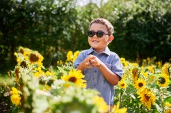 Charly Duo Styles earth havanna/donkerblauw, maat 40 