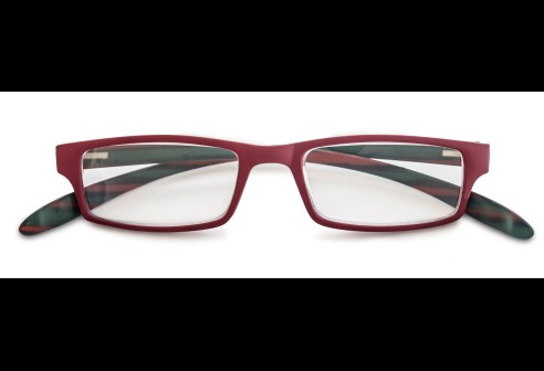 Leesbril kunststof montuur met 'neckholder' veren bordeaux-groen