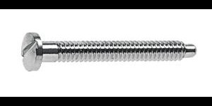 Gleufschroef zilver Ø 1,2 lengte 12 mm