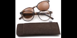 Leesbril kunststof met zonneclip