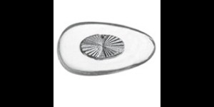 Kunststof klikpads zilver kern 15 mm