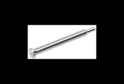 Gleufschroef zilver Ø 1,2 lengte 12 mm