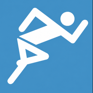 Sporten