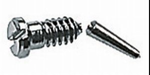 Gleufschroef zilver Ø 1,0 lengte 2,8/5,8 mm