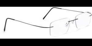 Glasbril van Beta-titanium met Monoblockveren, gun