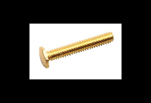 Zeskantschroef goud Ø 1,2 lengte 12,6 mm