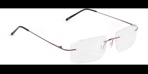 Glasbril van Beta-titanium bruin